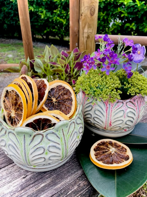 Bromeliad Planter Pots