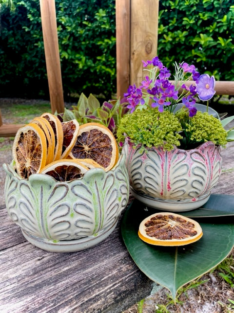 Bromeliad Planter Pots